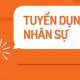 Tân Trí Việt Tuyển dụng
